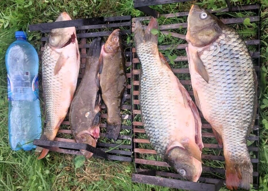 Офисы по адресу 